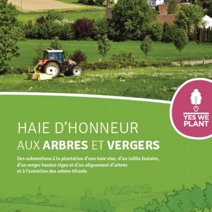 Brochure Haie d'honneur - Vous souhaitez amÃ©nager vos terrains avec des arbres, des haies ou des fruitiers ? DÃ©couvrez le nouveau rÃ©gime de subventions octroyÃ© par la Wallonie, ainsi que les nombreux bÃ©nÃ©fices liÃ©s Ã  ces Ã©lÃ©ments de paysage. - Publications Parc Naturel Ardenne Meridionale