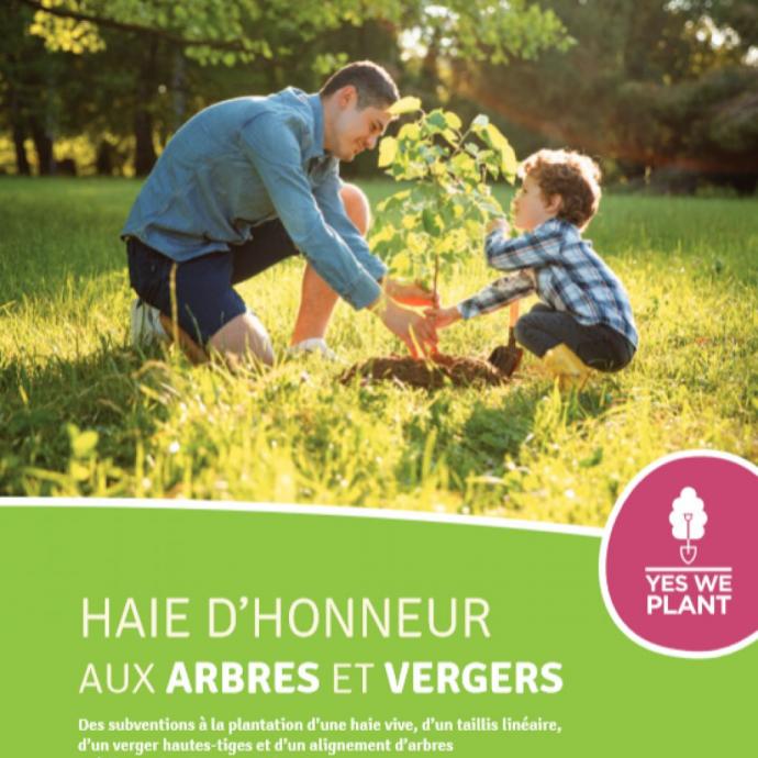 Brochure Haie d'honneur pour les particuliers - Vous souhaitez amÃ©nager vos terrains avec des arbres, des haies ou des fruitiers ? DÃ©couvrez le rÃ©gime de subventions octroyÃ© par la Wallonie, ainsi que les nombreux bÃ©nÃ©fices liÃ©s Ã  ces Ã©lÃ©ments de paysage. - Publications Parc Naturel Ardenne Meridionale