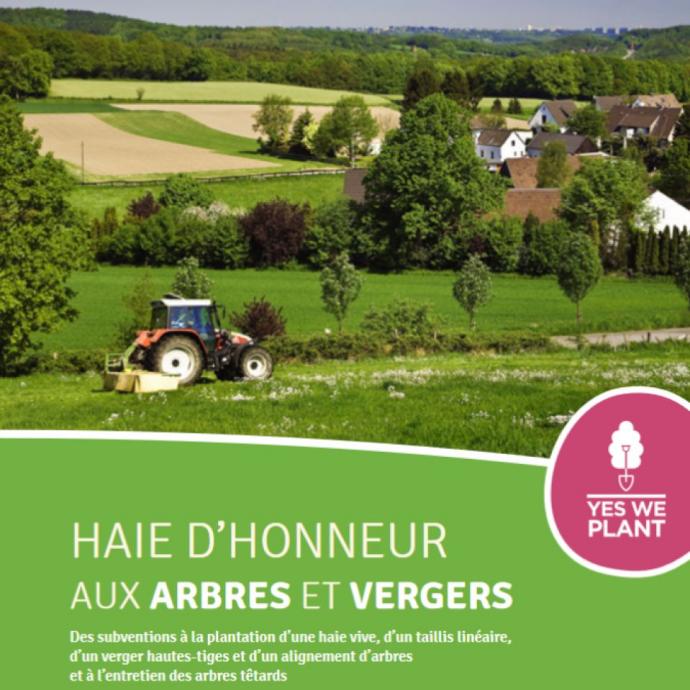 Brochure Haie d'honneur pour les agriculteurs - Vous souhaitez amÃ©nager vos terrains avec des arbres, des haies ou des fruitiers ? DÃ©couvrez le rÃ©gime de subventions octroyÃ© par la Wallonie, ainsi que les nombreux bÃ©nÃ©fices liÃ©s Ã  ces Ã©lÃ©ments de paysage. - Publications Parc Naturel Ardenne Meridionale