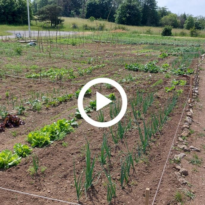 Un jardin collectif à Wellin - Revue de presse GAL Ardenne Meridionale