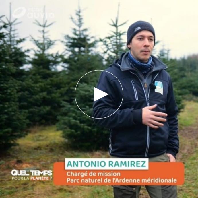 Quel temps pour la planète? | Les sapins de Noël sans pesticides - Revue de presse GAL Ardenne Meridionale