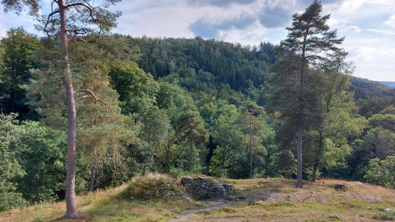  - Parc naturel de l'Ardenne Méridionale