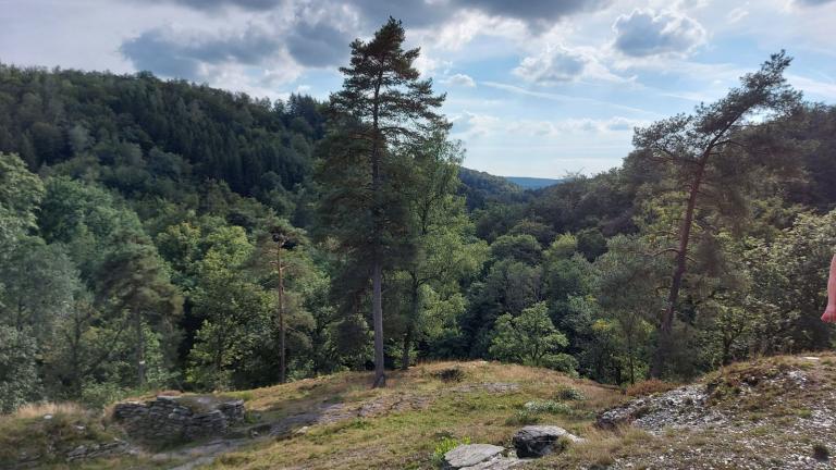  - Parc naturel de l'Ardenne Méridionale