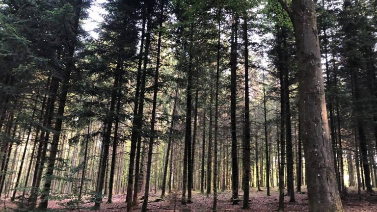  - Parc naturel de l'Ardenne Méridionale