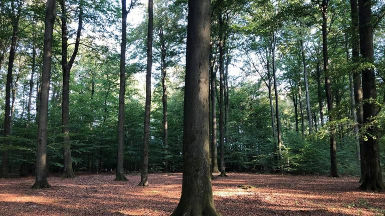  - Parc naturel de l'Ardenne Méridionale