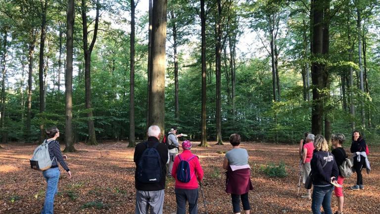  - Parc naturel de l'Ardenne Méridionale