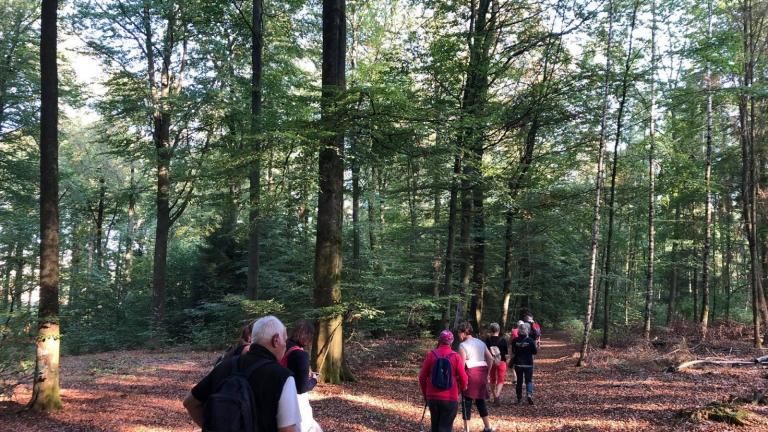  - Parc naturel de l'Ardenne Méridionale