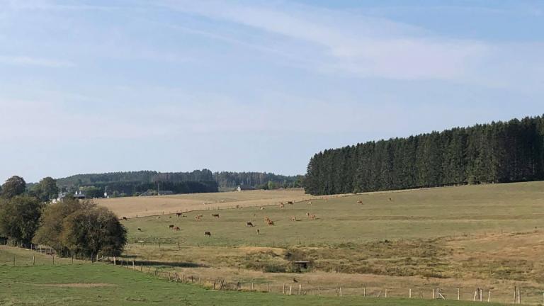  - Parc naturel de l'Ardenne Méridionale