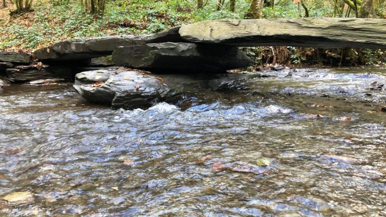  - Parc naturel de l'Ardenne Méridionale