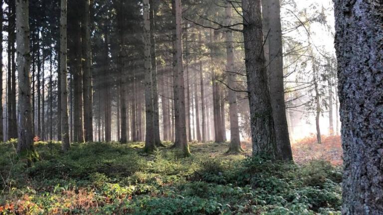  - Parc naturel de l'Ardenne Méridionale