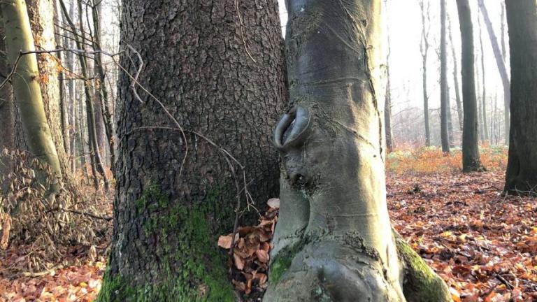  - Parc naturel de l'Ardenne Méridionale