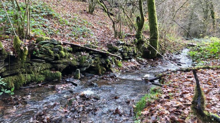  - Parc naturel de l'Ardenne Méridionale