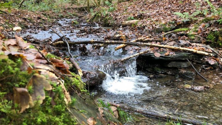  - Parc naturel de l'Ardenne Méridionale