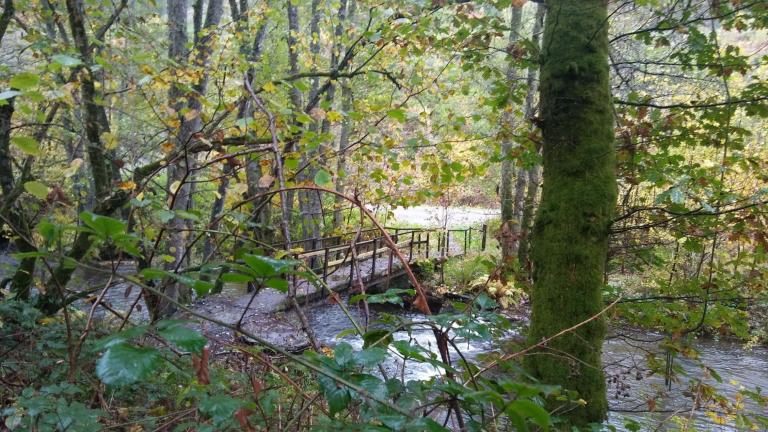  - Parc naturel de l'Ardenne Méridionale