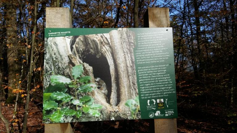  - Parc naturel de l'Ardenne Méridionale