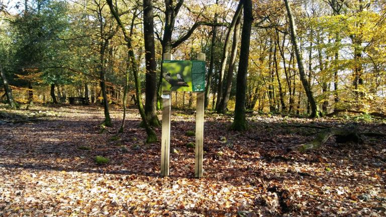  - Parc naturel de l'Ardenne Méridionale