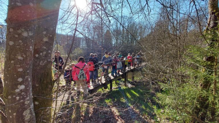  - Parc naturel de l'Ardenne Méridionale