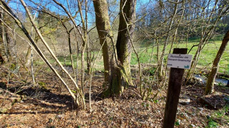  - Parc naturel de l'Ardenne Méridionale