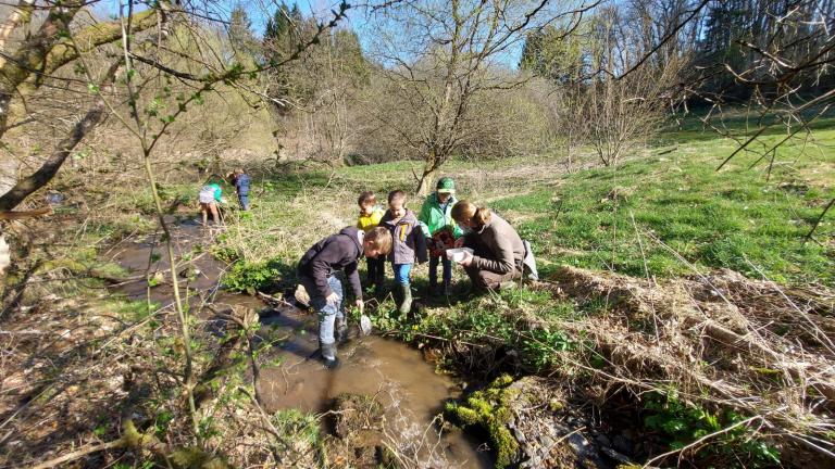  - Parc naturel de l'Ardenne Méridionale