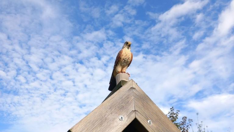  - Parc naturel de l'Ardenne Méridionale