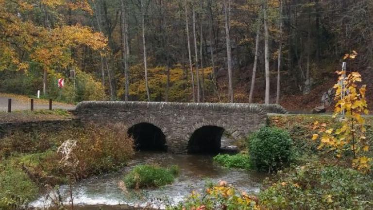  - Parc naturel de l'Ardenne Méridionale