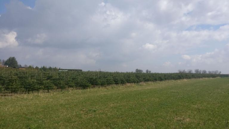  - Parc naturel de l'Ardenne Méridionale