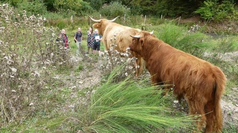  - Parc naturel de l'Ardenne Méridionale