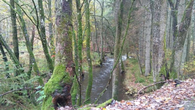  - Parc naturel de l'Ardenne Méridionale