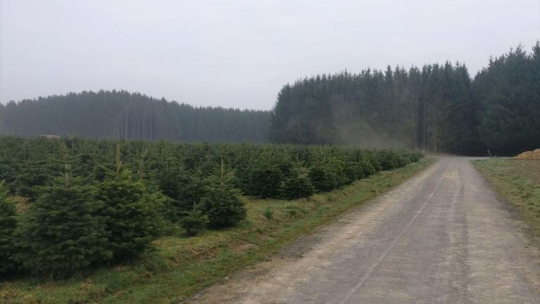  - Parc naturel de l'Ardenne Méridionale