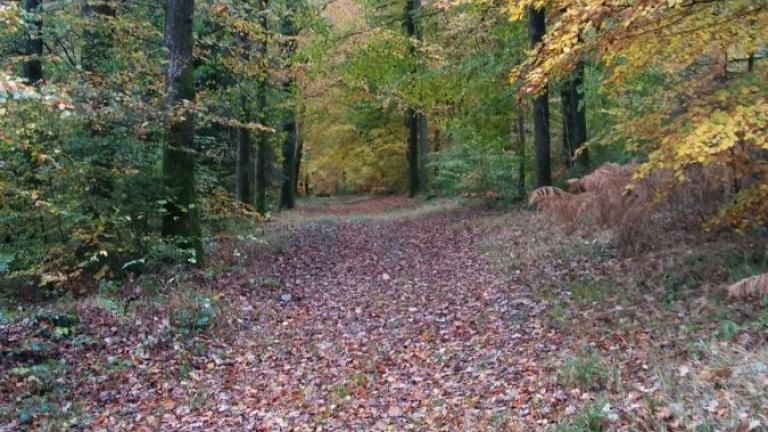  - Parc naturel de l'Ardenne Méridionale