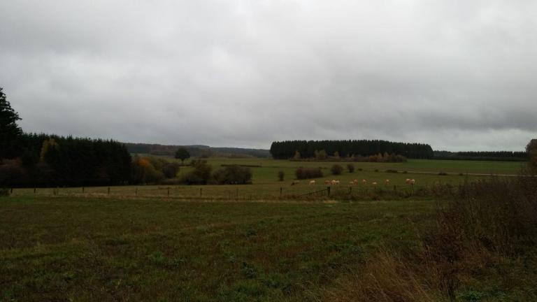  - Parc naturel de l'Ardenne Méridionale