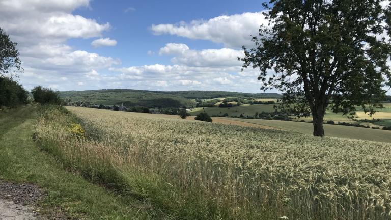  - Parc naturel de l'Ardenne Méridionale