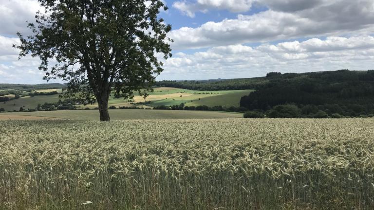  - Parc naturel de l'Ardenne Méridionale