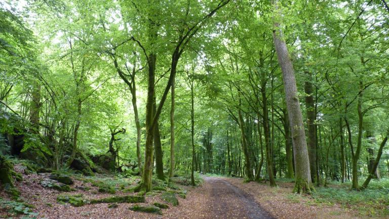  - Parc naturel de l'Ardenne Méridionale