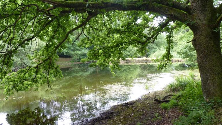  - Parc naturel de l'Ardenne Méridionale