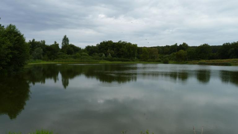  - Parc naturel de l'Ardenne Méridionale