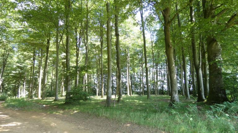  - Parc naturel de l'Ardenne Méridionale