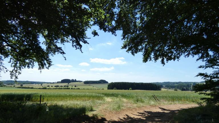  - Parc naturel de l'Ardenne Méridionale