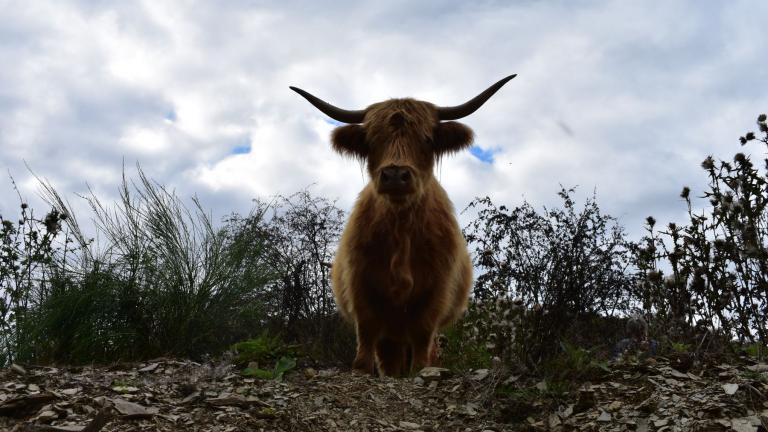  - Parc naturel de l'Ardenne Méridionale