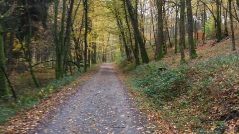  - Parc naturel de l'Ardenne Méridionale