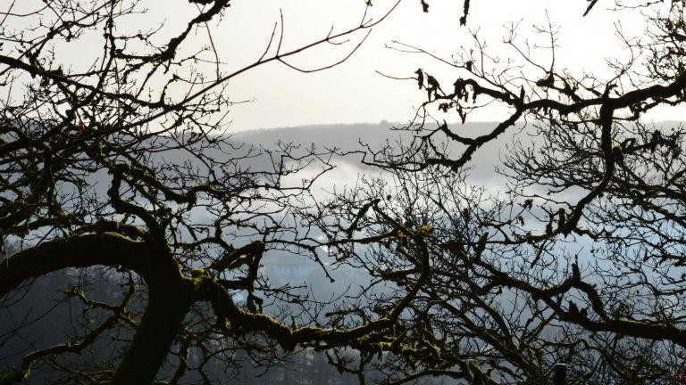  - Parc naturel de l'Ardenne Méridionale