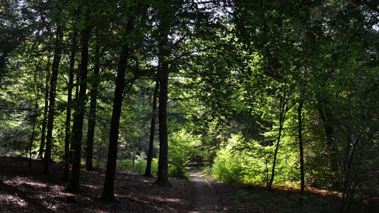  - Parc naturel de l'Ardenne Méridionale