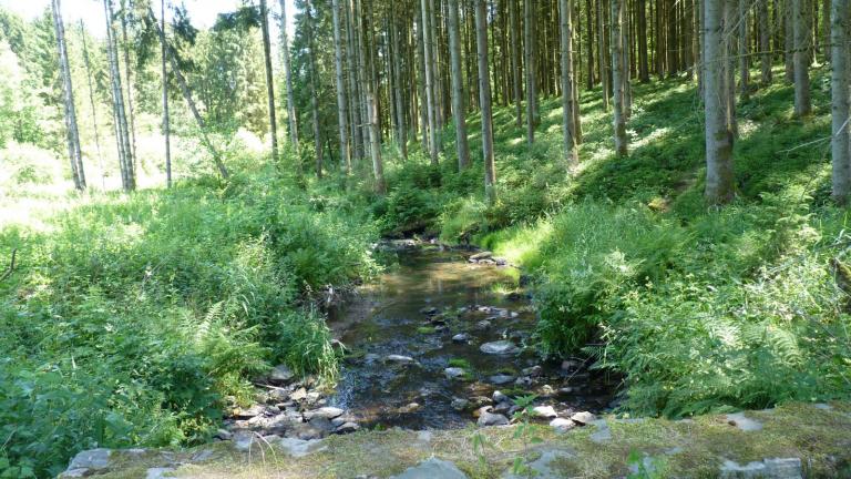  - Parc naturel de l'Ardenne Méridionale