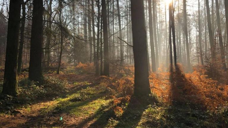  - Parc naturel de l'Ardenne Méridionale