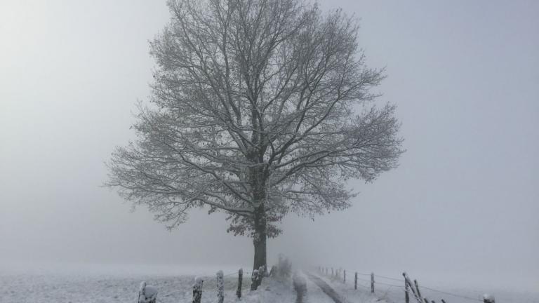  - Parc naturel de l'Ardenne Méridionale