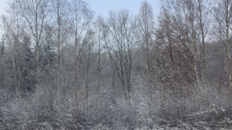  - Parc naturel de l'Ardenne Méridionale