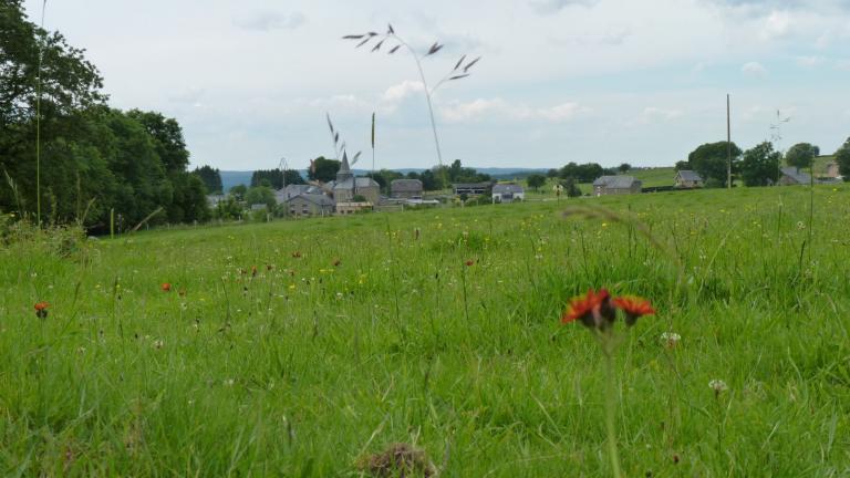  - Parc naturel de l'Ardenne Méridionale