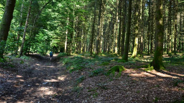  - Parc naturel de l'Ardenne Méridionale