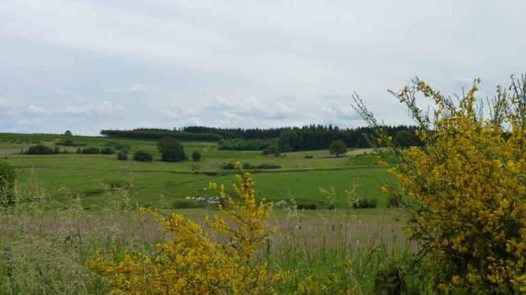  - Parc naturel de l'Ardenne Méridionale