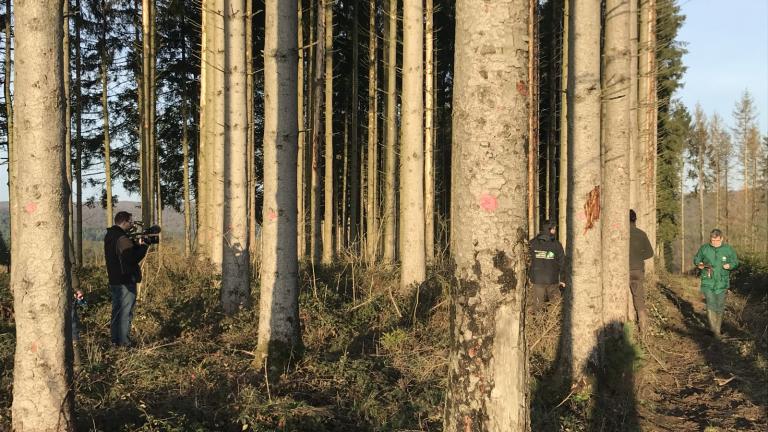  - Parc naturel de l'Ardenne Méridionale